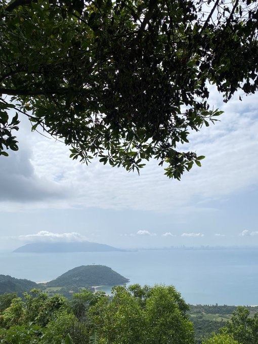 A scenic landscape photograph framed by dark tree branches at the top, looking out over lush green forested hills toward a blue ocean with islands and distant mountains visible under a partly cloudy sky.