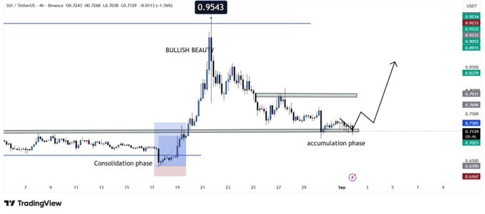 A TradingView chart of SUI/USDT showing price action with annotations indicating a 'Consolidation phase,' 'BULLISH BEAUT' peak around 0.9543, and an 'accumulation phase,' with projected upward movement.