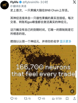 A Flylife Twitter post in Chinese about a BNB Chain black hole project featuring an image of 165,700 neurons that feel every trade.