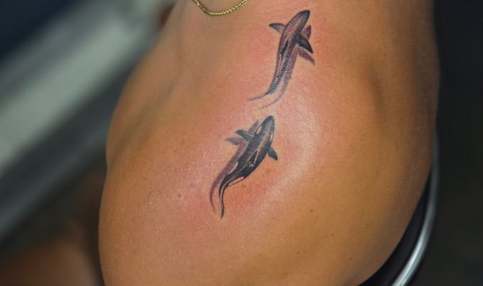 A close-up of a tattoo on a person's shoulder featuring two small black shark designs with red accents around them.