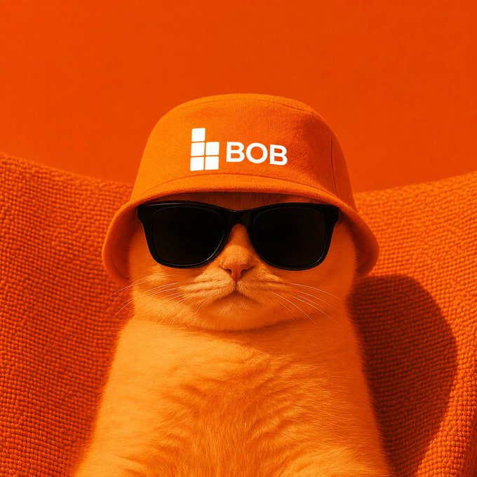 An orange-toned image of a cat wearing sunglasses and an orange bucket hat with 'BOB' printed on it.