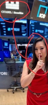 A woman in a red dress holds her finger to her lips in a "shh" gesture, with the "ICE" and "CITADEL | Securities" signs visible in the background, perfectly matching the post's suggestion to keep quiet about "fuzzy" details.