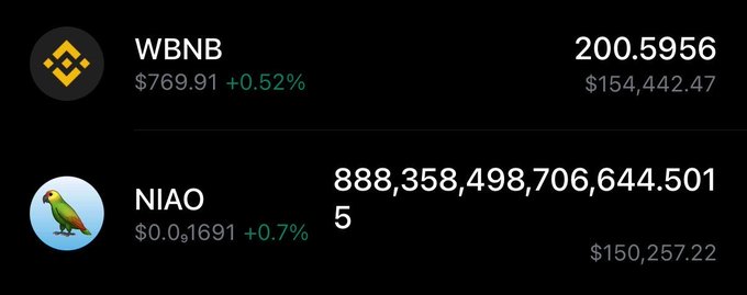 A cryptocurrency portfolio shows WBNB at $769.91 (+0.52%) with a balance of 200.5956 valued at $154,442.47, and NIAO at $0.01691 (+0.7%) with a massive balance valued at $150,257.22.