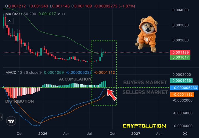 A cryptocurrency trading chart with MA Cross and MACD indicators, showing a doge meme character in a hoodie, with annotations marking 'ACCUMULATION', 'DISTRIBUTION', 'BUYERS MARKET', and 'SELLERS MARKET' alongside a 'CRYPTOLUTION' watermark.