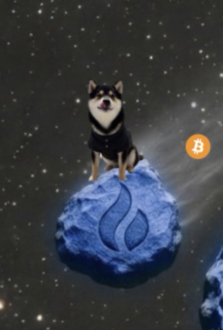 A Shiba Inu dog wearing a black hoodie sitting on a blue rock floating in outer space with stars in the background and a Bitcoin (₿) symbol on the right.