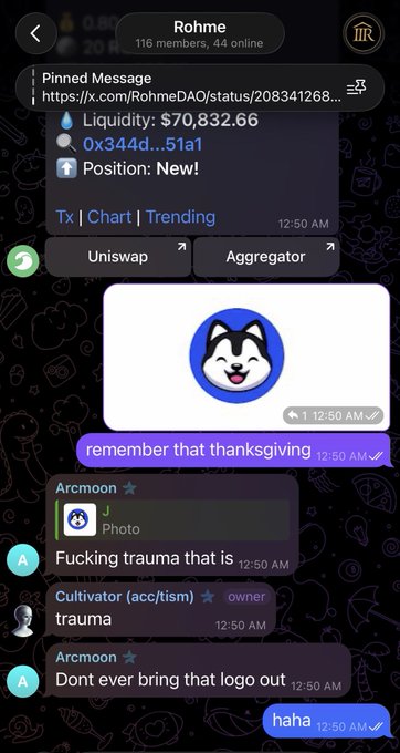 A screenshot of the Rohme Telegram group chat showing pinned stats for ROHM (Liquidity: $70,832.66, $ROHM/0x344d...51a1), with members joking about an old OHM Shiba-Inu logo image, reminding newcomers not to reference it—illustrating the "og $OHM enjoyers" community referenced in the caption.