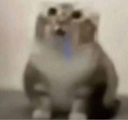 A low-resolution, blurry image of a small animal (possibly a cat or dog) standing on its hind legs with wide eyes and an open mouth, appearing startled or excited.