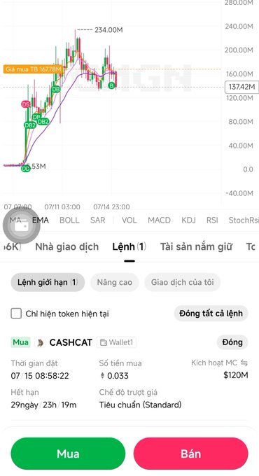 Vietnamese crypto trading interface showing a candlestick chart with MA, EMA, BOLL indicators and a buy/sell order screen for CASHCAT with Mua (Buy) and Bán (Sell) buttons.