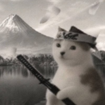 A black-and-white meme image of a cat wearing a paper hat and holding a katana, standing in a dramatic pose with a Japanese landscape and falling petals in the background.