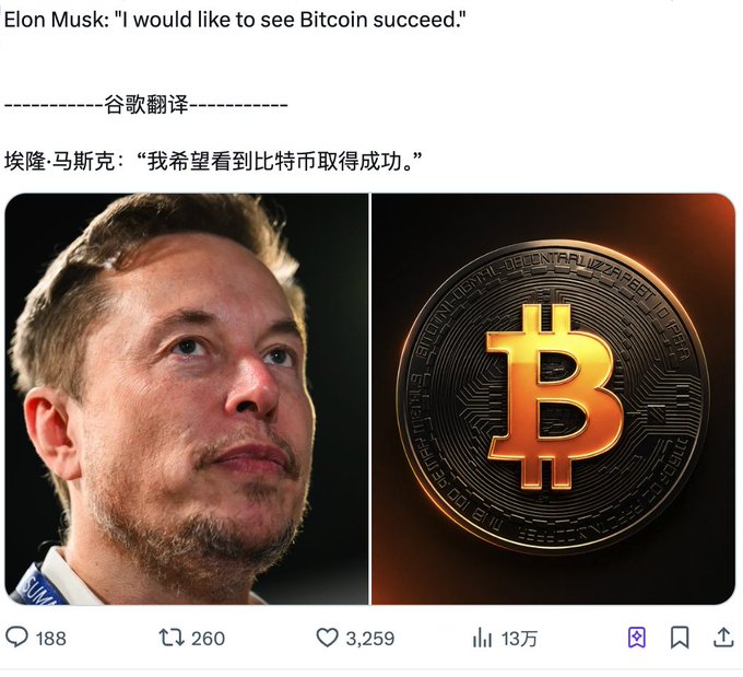 The image features a man with a beard, wearing a blue shirt, and looking up at something above his head. The caption of the image reads "Elon Musk" followed by a question about Bitcoin success. The image also includes a photo of the man's face and a gold-colored Bitcoin symbol in the background.