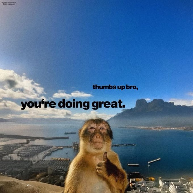 A monkey gives a thumbs-up gesture with the text "thumbs up bro, you're doing great." overlaid on a scenic background of a coastal city with mountains and harbor.