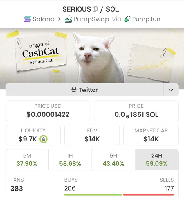 A screenshot of a cryptocurrency token page for SERIOUS / SOL on the Solana blockchain via PumpSwap via Pump.fun, showing a white cat labeled 'origin of CashCat - Serious Cat' with a price of $0.00001422, market cap of $14K, and 383 transactions.
