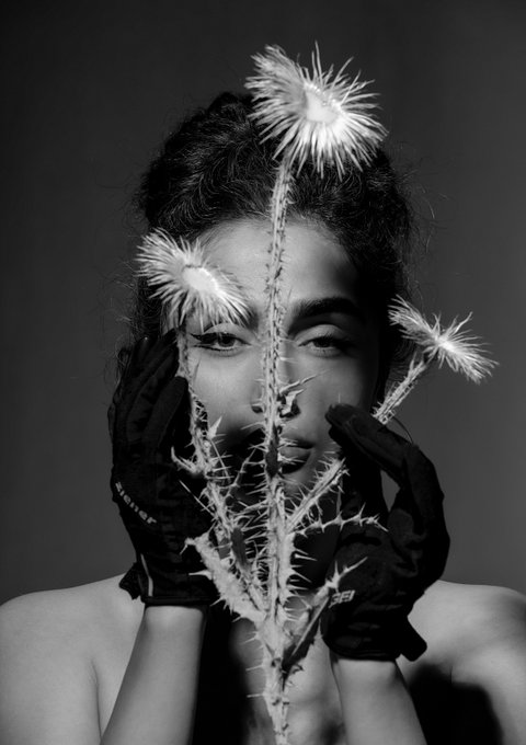 A black-and-white photograph shows a woman with her face partially obscured by a large, spiky thistle plant that she holds with gloved hands.