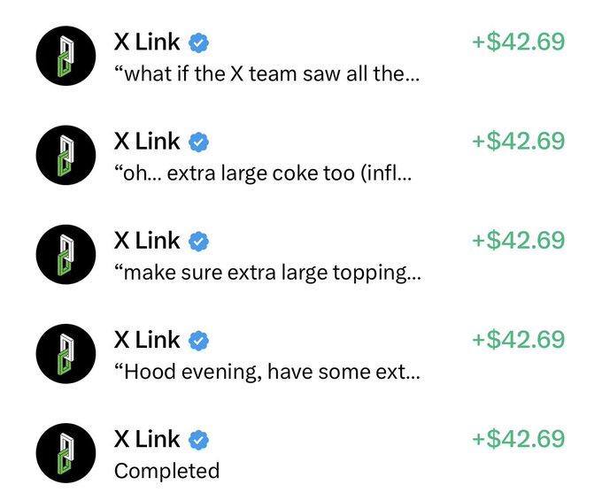 A screenshot shows a list of five transactions from "X Link" (verified account), each crediting "+$42.69" with humorous task descriptions like "make sure extra large topping..." and "Hood evening, have some ext...," totaling approximately $213.45, which corresponds to the $200 in X money the user mentions receiving.