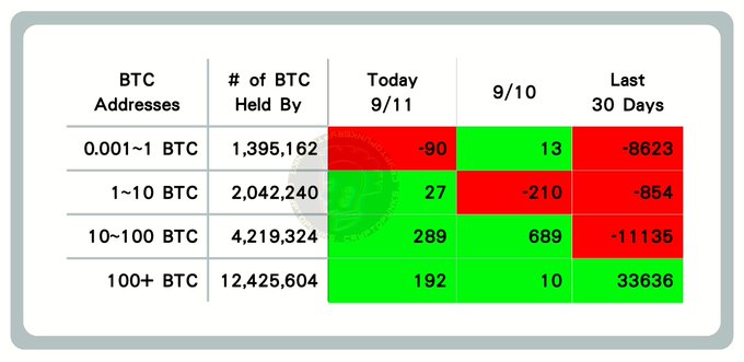 The image displays a Bitcoin on-chain data table showing wallet address distributions by BTC holdings on 9/11, with color-coded changes indicating that large whales (100+ BTC) added 192 coins today while smaller holders saw net selling, totaling 33,636 BTC accumulated over 30 days—aligning with the post's claim that large whales are buying in steady, modest amounts.