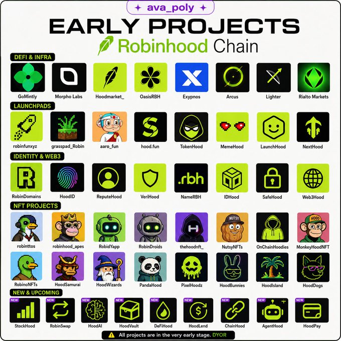 The image is a curated infographic by ava_poly showcasing early-stage projects building on Robinhood Chain, organized into categories including DeFi & Infra (GoMintly, Morpho Labs, Exynpos, Arcus, Lighter, Rialto Markets), Launchpads (robinfunxyz, grasspad_Robin, aaro_fun, hood_fun, TokenHood, MemeHood, LaunchHood, NextHood), Identity & Web3 (RobinDomains, HoodID, VeriHood, NameRBH, IDHood, SafeHood, Web3Hood), NFT Projects (robinittos, robinhood_apes, RobidYapp, RobinDroids, PandaHood, PixelHoodz, HoodDogs, etc.), and New & Upcoming (StockHood, RobinSwap, HoodAI, DeFiHood, HoodLend, AgentHood, HoodPay). It visually highlights projects like @Hood