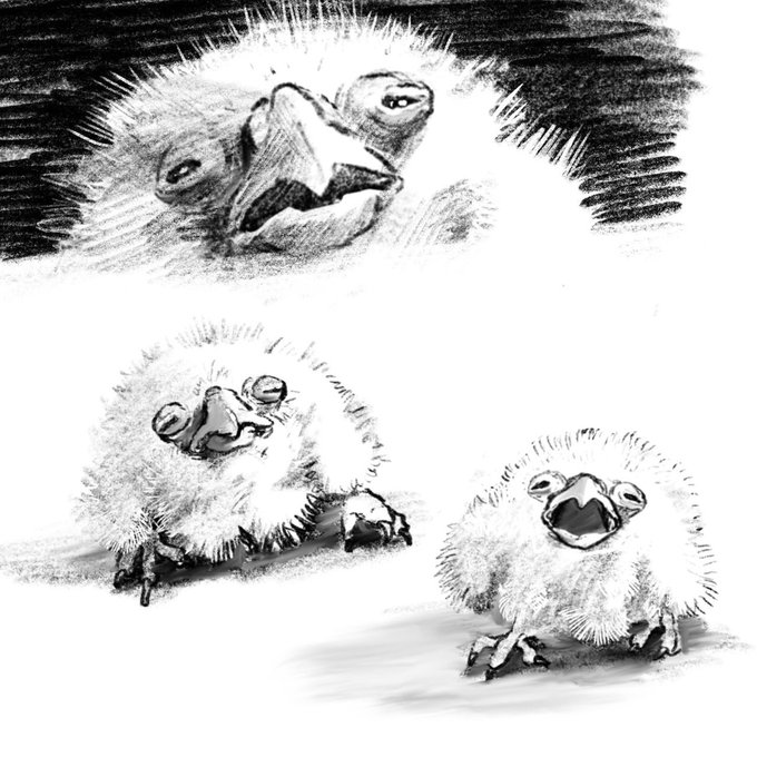 Three pencil sketches depict sheep-like creatures with prominent noses and wide eyes, with one dramatically lit close-up at the top and two full-body poses below. The "$QUARTER" ticker relates to the image through its dollar-sign prefix and the playful, cash-themed character design.