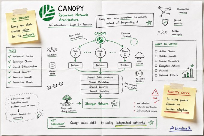 A hand-drawn style diagram explaining "CANOPY" as a Recursive Network Architecture, showing how chains A, B, and C share infrastructure, validators, and liquidity to strengthen the overall network.