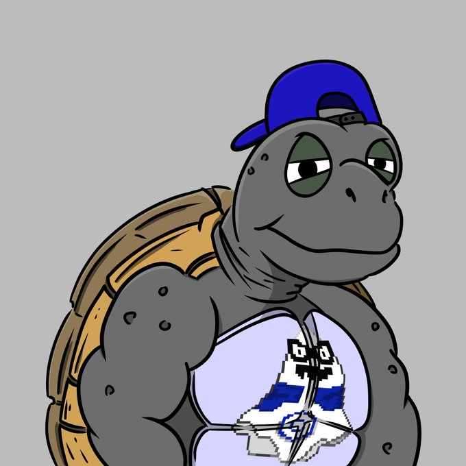 A cartoon drawing of a muscular grey turtle wearing a blue baseball cap backwards and a shirt with a pixelated ship design.