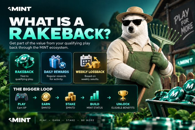 A promotional graphic titled 'WHAT IS A RAKEBACK?' featuring a bear in a straw hat holding a rake, with sections for 'RAKEBACK', 'DAILY REWARDS', 'WEEKLY LOSSBACK', and 'THE BIGGER LOOP'.