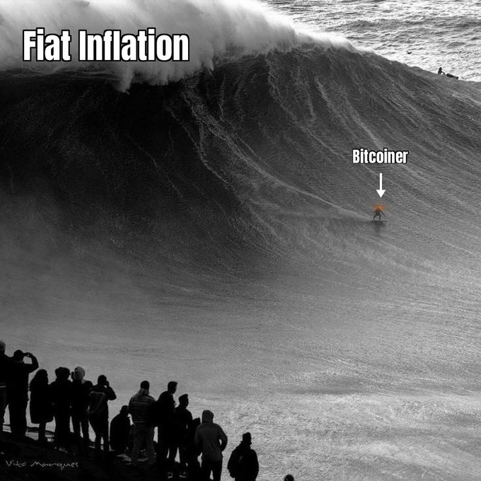 A dramatic black-and-white photo of a massive wave labeled 'Fiat Inflation' looming over a tiny surfer labeled 'Bitcoiner,' while a crowd of silhouetted onlookers watches from the shore.