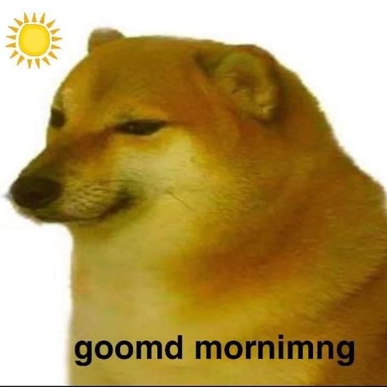 A popular "Cheems" Shiba Inu doge meme featuring a sun icon and the misspelled text "goomd mornimng" (good morning).