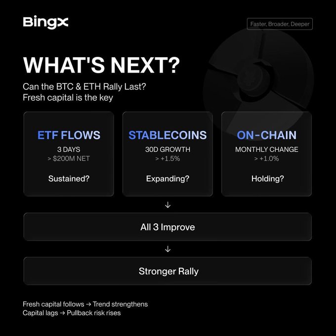 A BingX infographic titled "WHAT'S NEXT? Can the BTC & ETH Rally Last?" showing three indicators—ETF Flows (>$200M NET), Stablecoins (+1.5%), and On-Chain (+1.0%)—all leading to a "Stronger Rally."