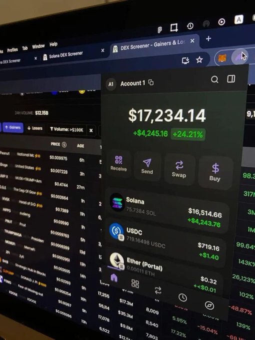A computer screen showing a crypto wallet with a balance of $17,234.14 (+24.21%), displaying Solana at $16,514.66, USDC at $719.16, and Ether (Portal) at $0.32, alongside a DEX Screener tab.
