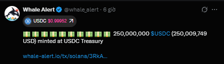 A tweet from Whale Alert (@whale_alert) reporting that 250,000,000 USDC ($250,009,749 USD) was minted at the USDC Treasury, with USDC priced at $0.99952.