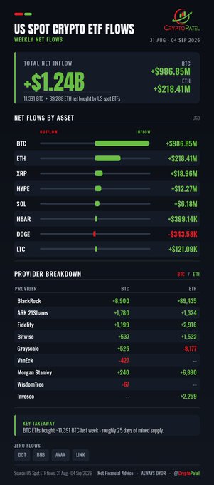 A CryptoPatel infographic showing US Spot Crypto ETF Weekly Net Flows for 31 AUG-04 SEP 2026, with Total Net Inflow of +$1.24B (+$986.85M BTC, +$218.41M ETH), including net flows by asset (BTC, ETH, XRP, HYPE, SOL, HBAR, DOGE, LTC) and a provider breakdown.