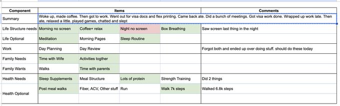 A productivity planning table organizing daily activities into categories including Summary, Life Structure, Life Optional, Work, Family Needs/Wants, and Health Needs/Optional, with items like 'Morning no screen,' 'Coffee + relax,' 'Day Planning,' and 'Sleep Supplements' color-coded in green and pink.