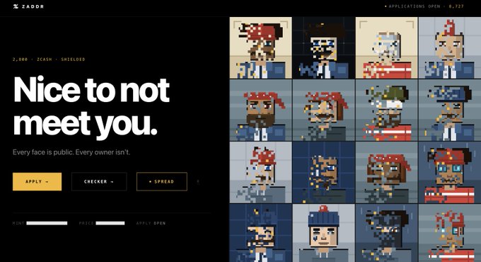 Website screenshot for ZADDR featuring pixel art character portraits with text 'Nice to not meet you. Every face is public. Every owner isn't.' and 2,888+ ZEARN SHIELDED.