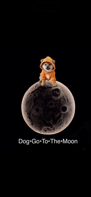 A Shiba Inu dog wearing an orange hoodie with a Bitcoin symbol stands atop the moon, accompanied by the text "Dog Go To The Moon." The image serves as a visual metaphor for the potential massive value increase of the $DOG token mentioned in the post.