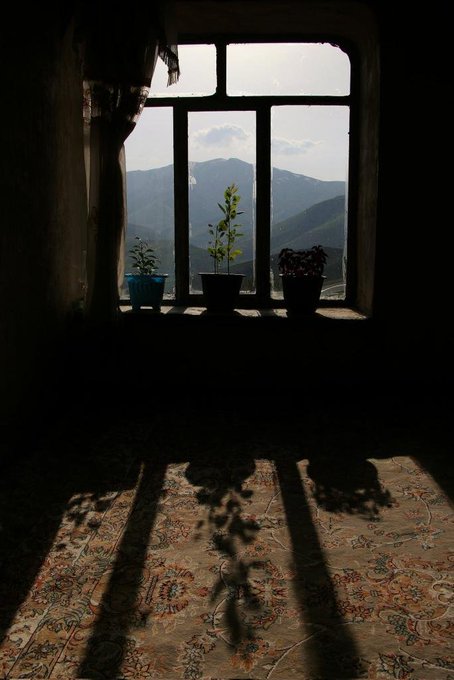 Sunlight streams through a window with potted plants on the sill, casting long shadows of the plants and window frame onto a patterned rug in a dim room, with mountains visible outside.