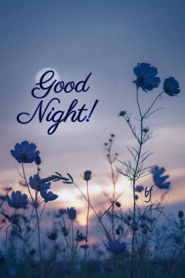 Goodnight image featuring blue flowers against a dusk sky with the text 'Good Night!' and 'bf' written on it.