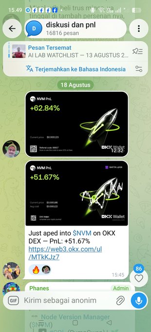 A mobile Discord chat screenshot showing a pinned message and an image of the $NVM PNL token on OKX DEX displaying gains of +62.84% and +51.67% with rocket graphics.