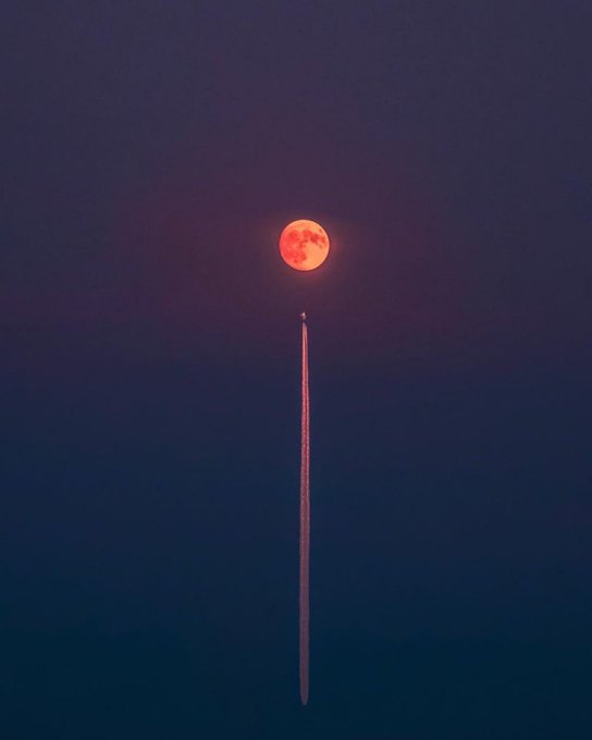 A vibrant red moon hovers in the dark night sky above a slender vertical structure, evoking the feeling of reaching "to the moon." The bold red glow against the deep navy backdrop emphasizes the celestial aspiration implied by the caption.