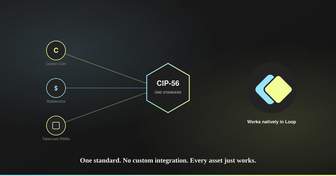 The image illustrates how CIP-56 unifies tokenized assets—Canton Coin, stablecoins, and tokenized RWAs—under one standard that works natively in Loop, reinforcing the caption's message that wallets, custodians, and applications can support any CIP-56 asset without custom integration.