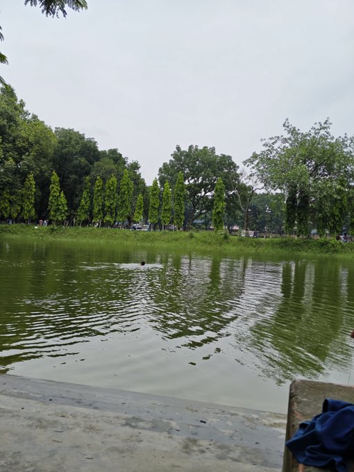 A serene view of a calm green lake bordered by tall trees under an overcast sky, with a stone ledge and a piece of blue fabric visible in the foreground.