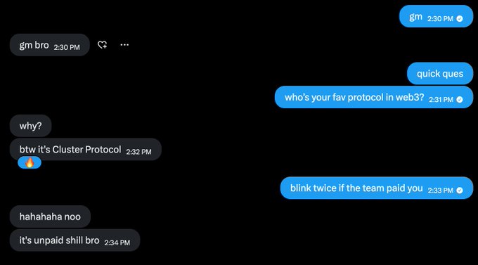 A screenshot of a direct message exchange where one user asks for a favorite Web3 protocol, receives the answer 'Cluster Protocol,' and is told it's an 'unpaid shill'.