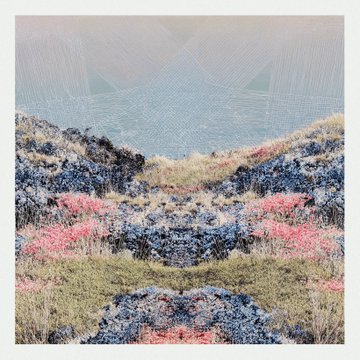 A symmetrical, mirrored landscape artwork features rocky, mountainous terrain with patches of pink and yellow vegetation, set against a pale sky with geometric line patterns.