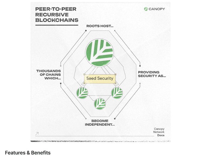 A diagram titled 'PEER-TO-PEER RECURSIVE BLOCKCHAINS' from Canopy Network Docs, illustrating a system with a central 'Seed Security' node connected to several other nodes in a hexagonal structure.