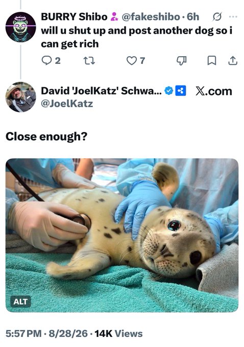 A screenshot of an X.com post by David 'JoelKatz' Schwarz replying "Close enough?" to @fakeshibo's tweet, featuring a photo of a spotted seal pup being examined by people in blue gloves.