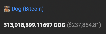 A dark screen displaying cryptocurrency holdings: 'Dog (Bitcoin) 313,018,899.11697 DOG ($237,854.81)'.