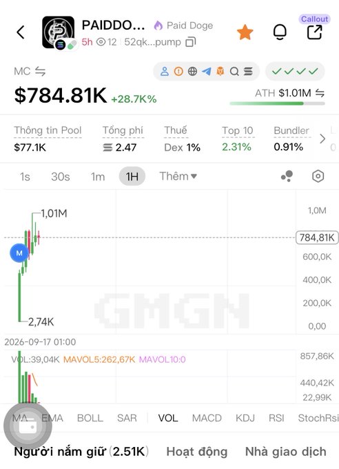 A GMGN cryptocurrency chart showing the 'PAID Doge' (PAIDDO...) token at $784.81K, up 28.7%, with a market cap of $77.1K and a dramatic price spike shown in the graph.