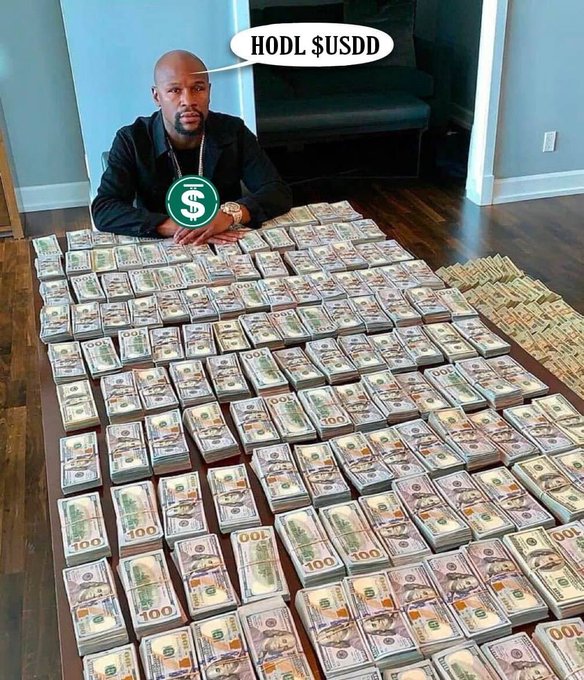 A man in a black outfit sits behind a table covered with stacks of $100 bills, with a speech bubble reading 'HODL $USDD' and a dollar sign emoji over his chest.