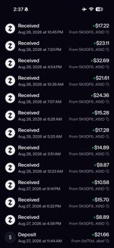 A cryptocurrency wallet transaction history showing multiple USDT (SKOPE) deposits and withdrawals ranging from $7.28 to $32.69, dated August 28, 2026.
