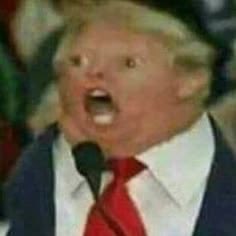 The image is of a shocked-looking Donald Trump doll, perfectly capturing the user's sentiment of financial dismay after losing 50% of their portfolio on $WAL and being underwater on $MON for 9 months.