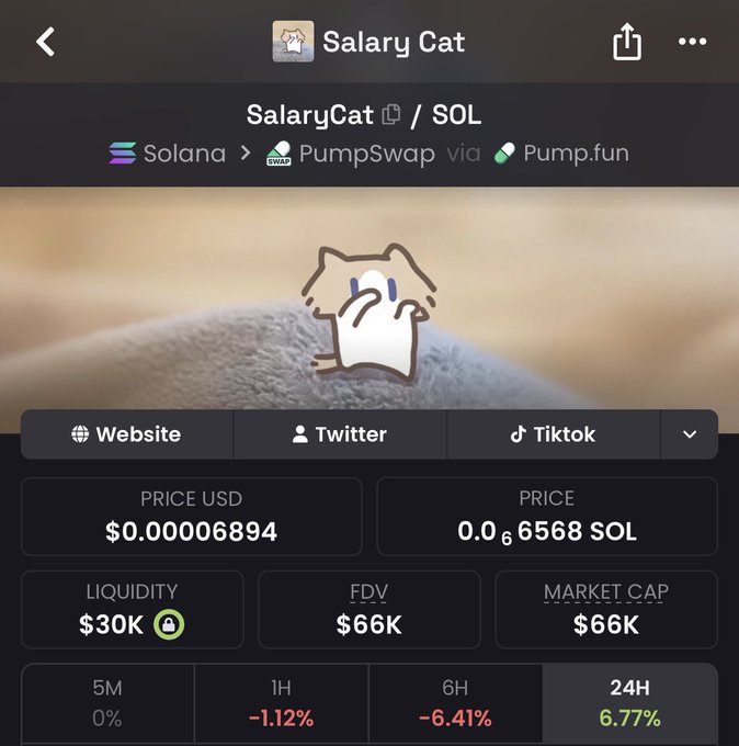 A cryptocurrency tracking app displays information for 'SalaryCat' on the Solana network via PumpSwap, showing a price of $0.00006894 USD, a market cap of $66K, and various percentage changes.