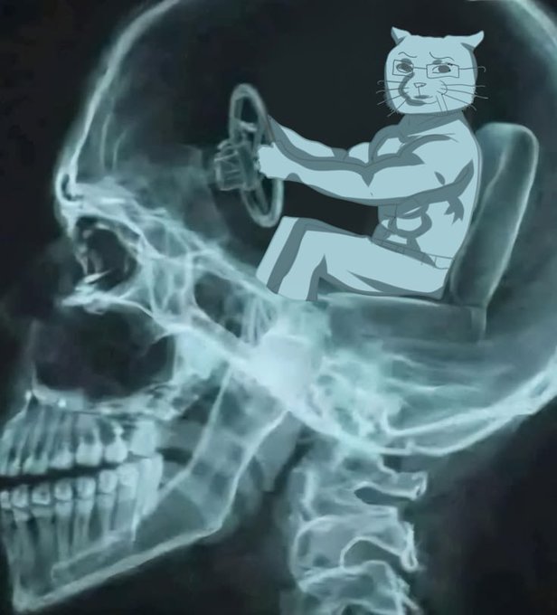 An X-ray image of a human skull in profile, with an illustrated cat character wearing glasses superimposed in the brain area, sitting in a chair and holding a steering wheel.